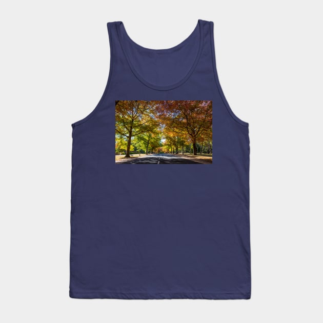 Honour Avenue, Mount Macedon, Victoria, Australia. Tank Top by VickiWalsh